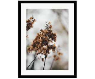 Autumn Framed Print